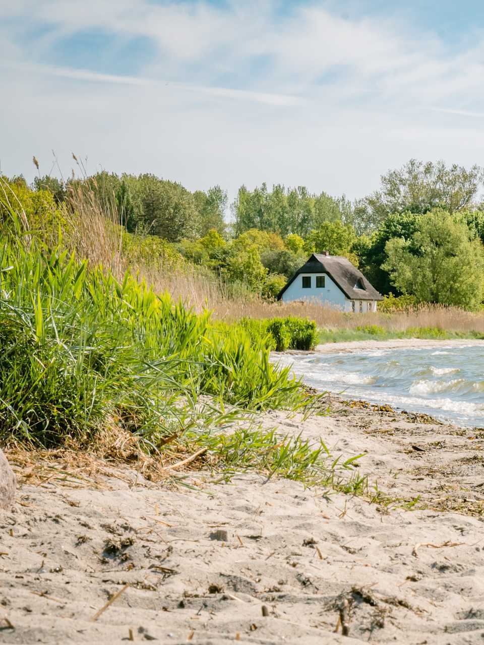 Ein Strand mit einem kleinen Haus umgeben von Bäumen